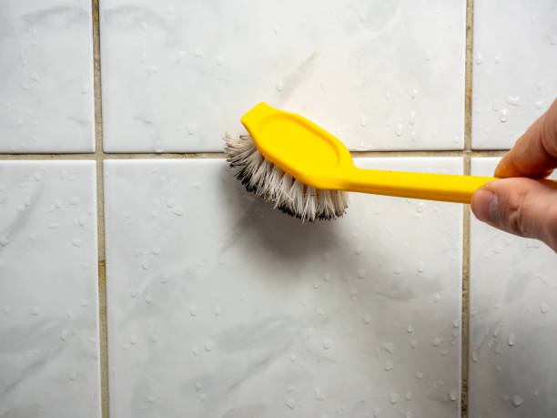 Best Mold Remediation  in Maili, HI