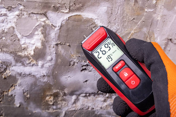 Best Certified Mold Removal  in Maili, HI