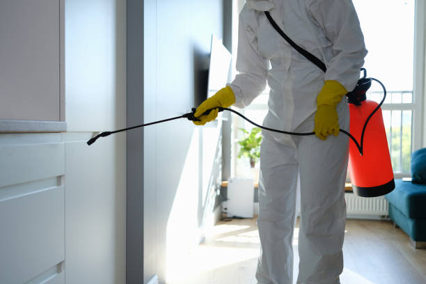 Best Emergency Mold Removal  in Maili, HI